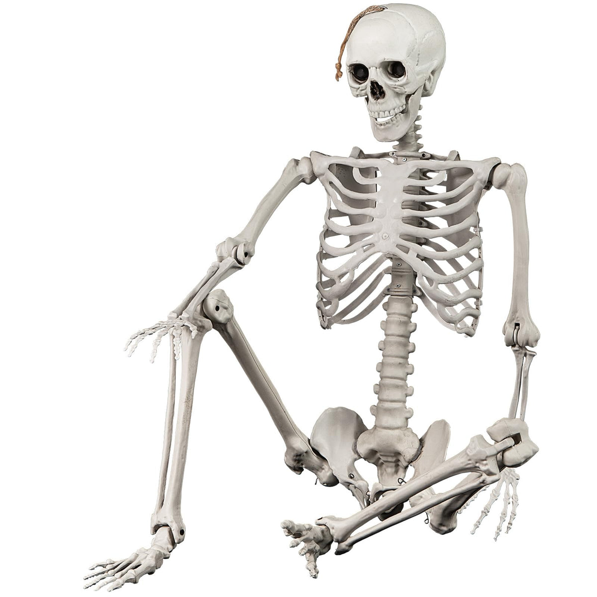 5.4 FT Life Size Posable Skeleton Decoration G778