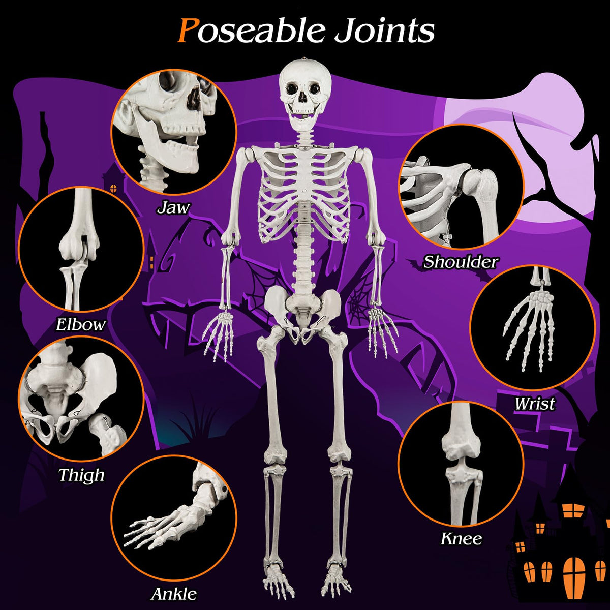 5.4 FT Life Size Posable Skeleton Decoration G778