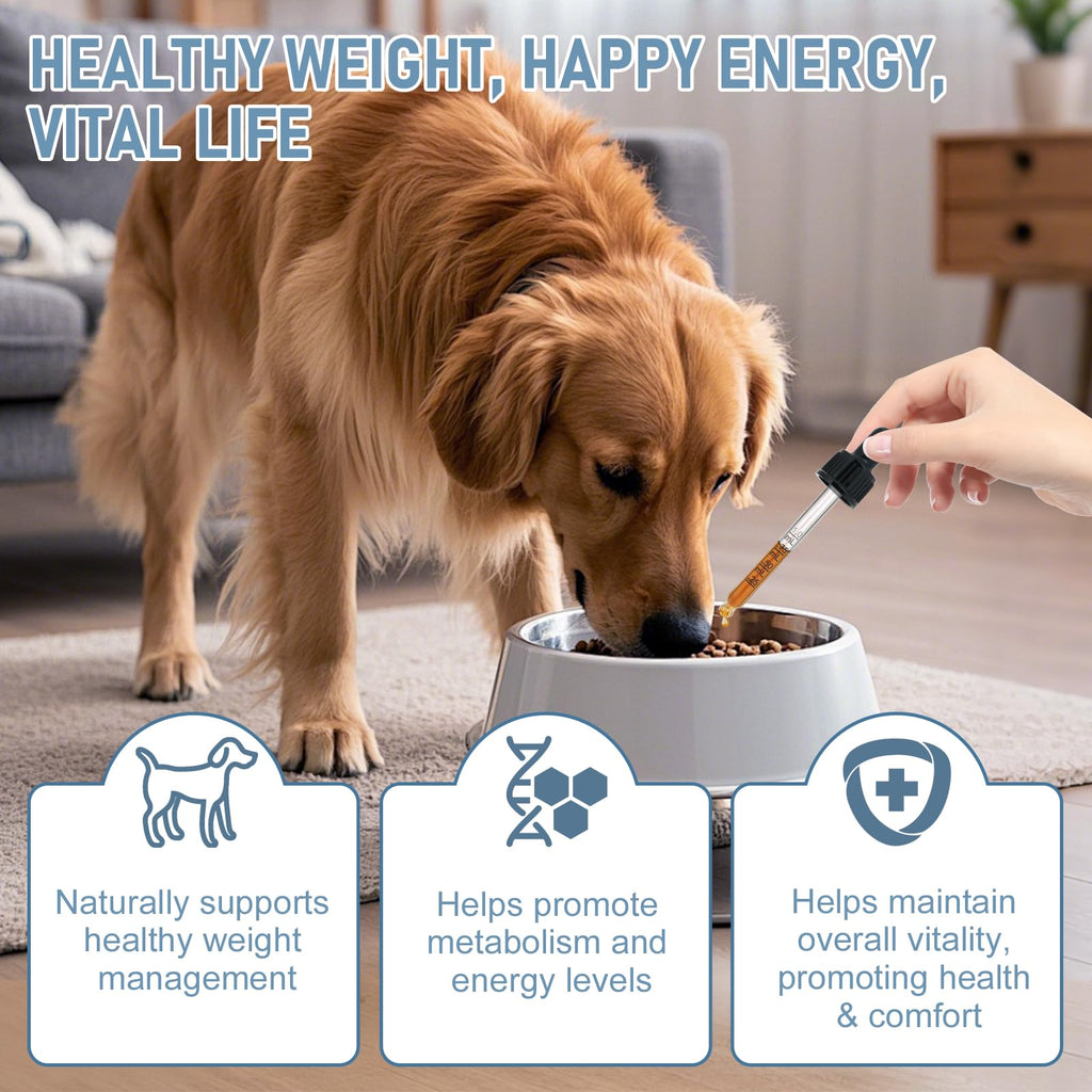Dog Weight Management Drops Q724226