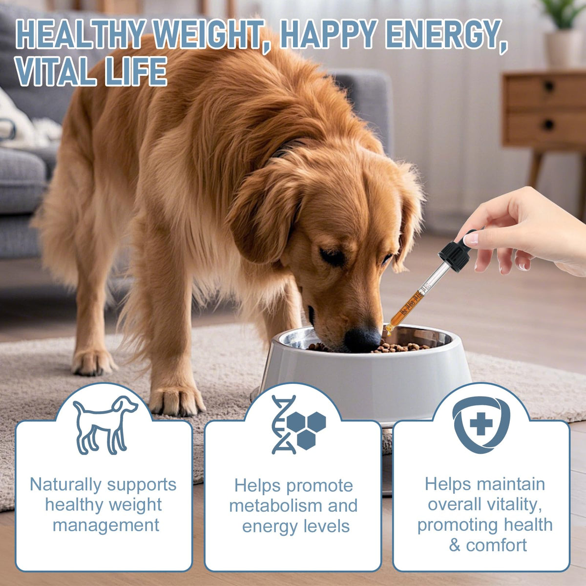 Dog Weight Management Drops Q724226