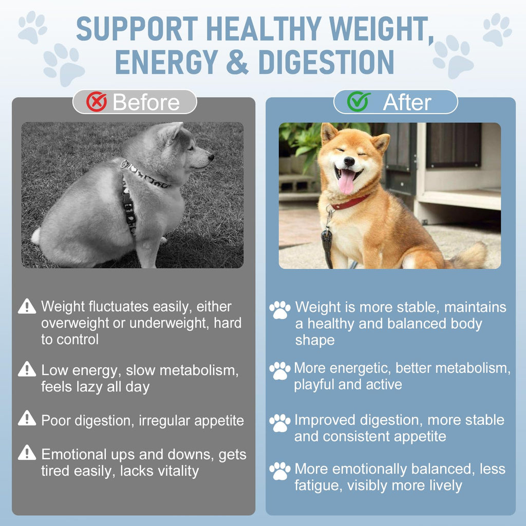 Dog Weight Management Drops Q724226