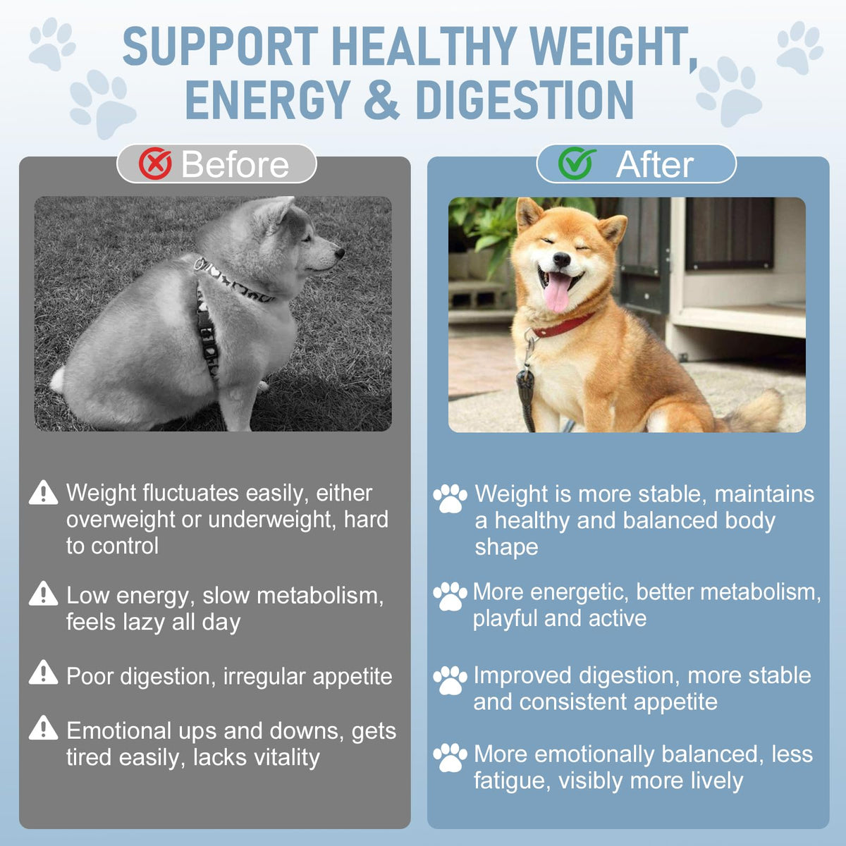 Dog Weight Management Drops Q724226