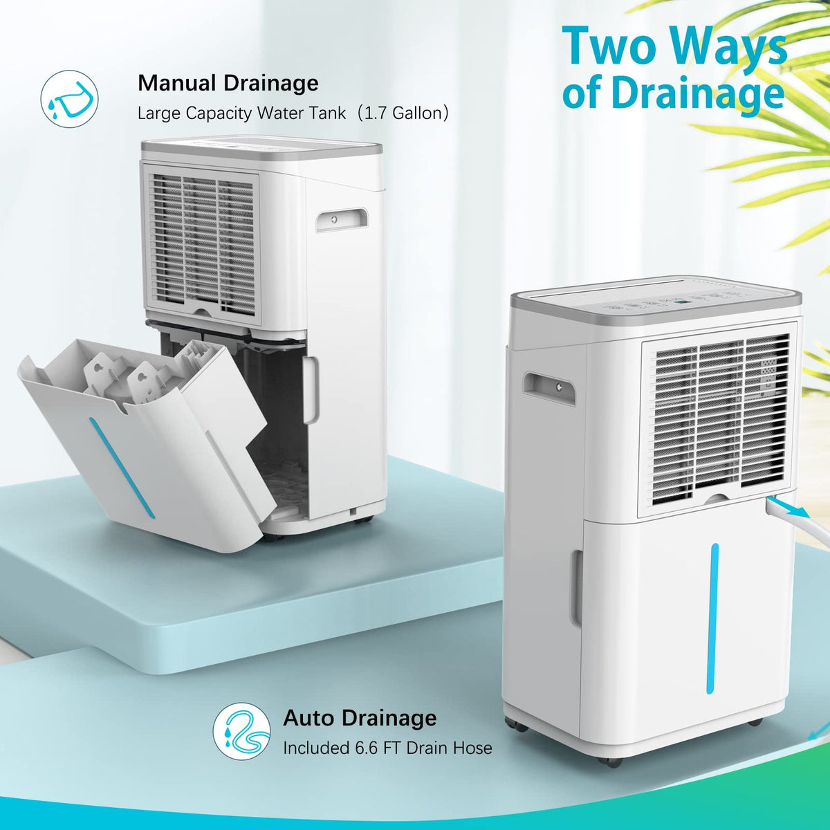 50 Pint Dehumidifier with Drain Hose S243