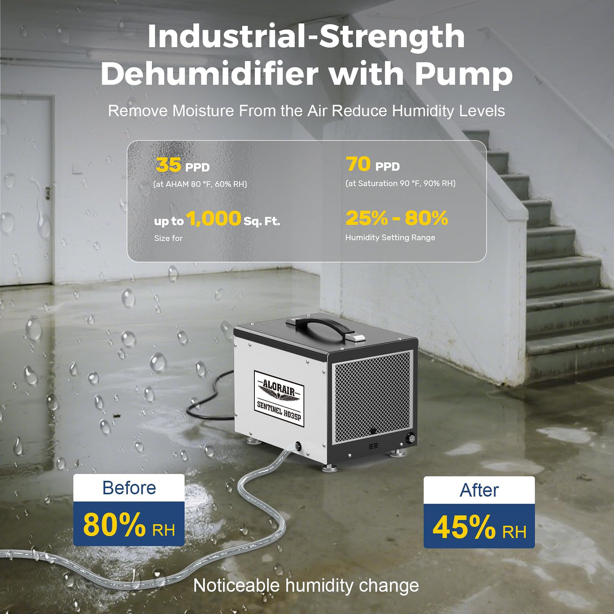 70 Pints Crawlspace Dehumidifier with Pump G42105