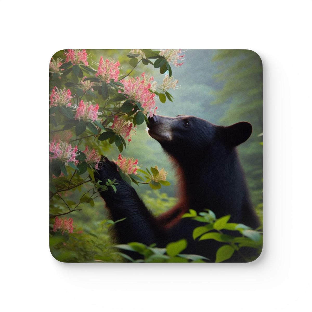 Black Bear Coasters Set of 4 C420