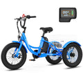 16 Inch 250W 24V Blue Electric Tricycle J1054