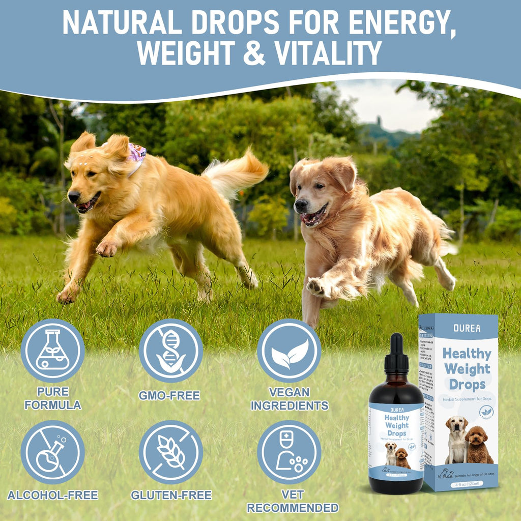Dog Weight Management Drops Q724226