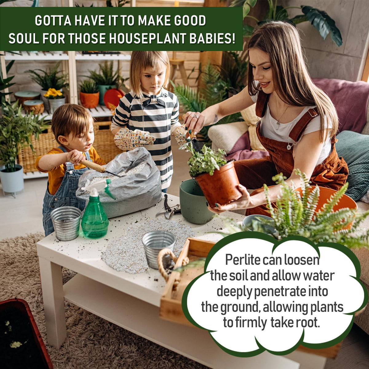 10QT Horticultural Perlite G4312