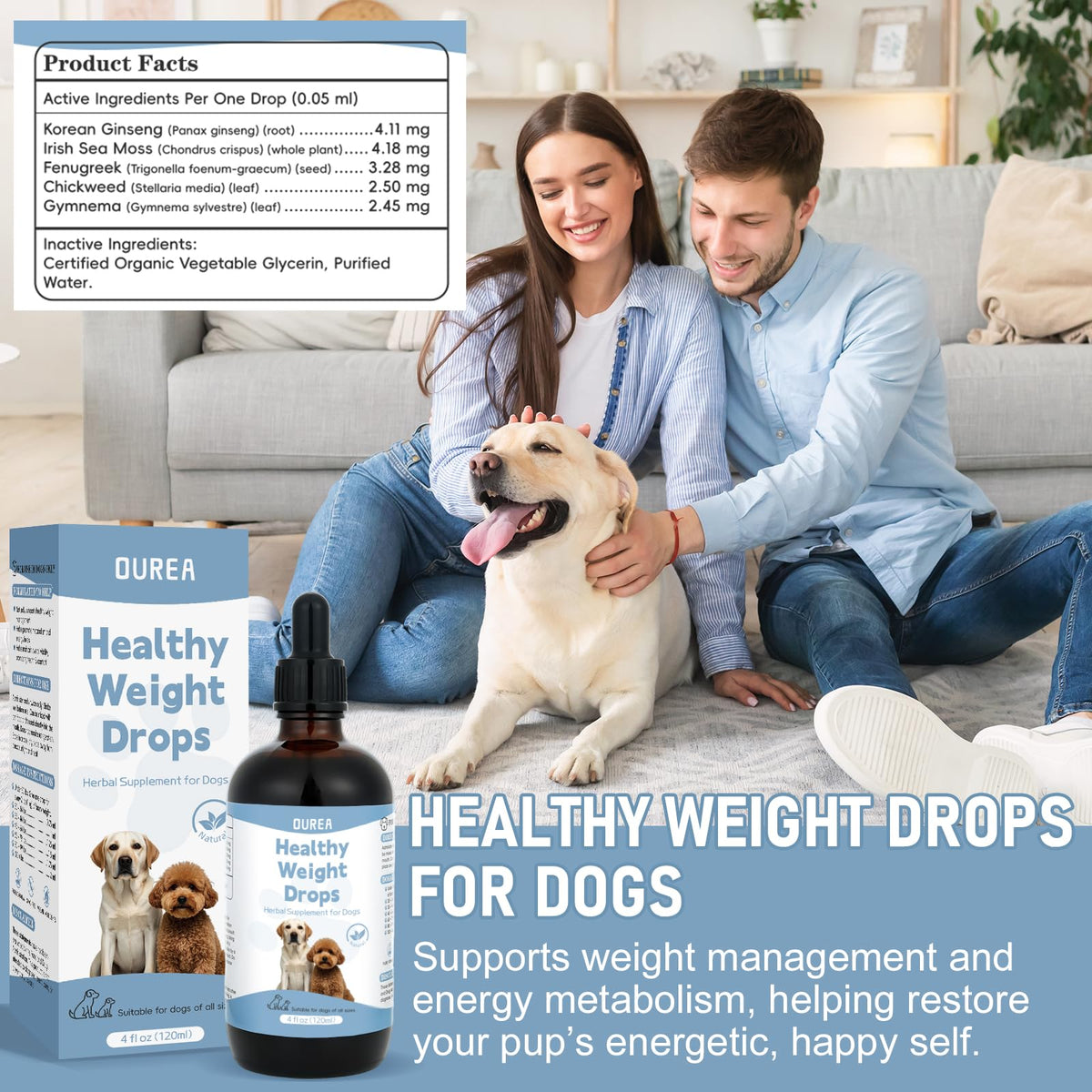 Dog Weight Management Drops Q724226