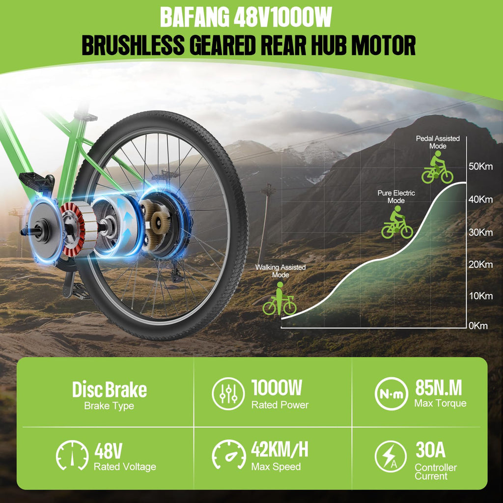 1000W Rear Hub Motor Fat Tire Ebike Conversion Kit F848