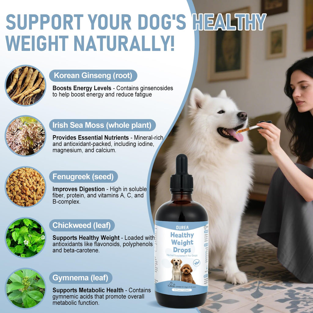 Dog Weight Management Drops Q724226