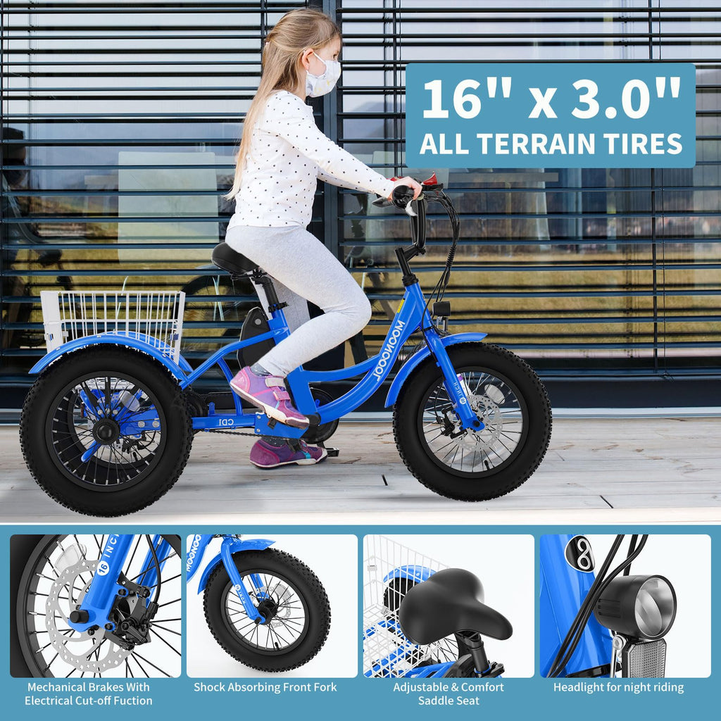 16 Inch 250W 24V Blue Electric Tricycle J1054