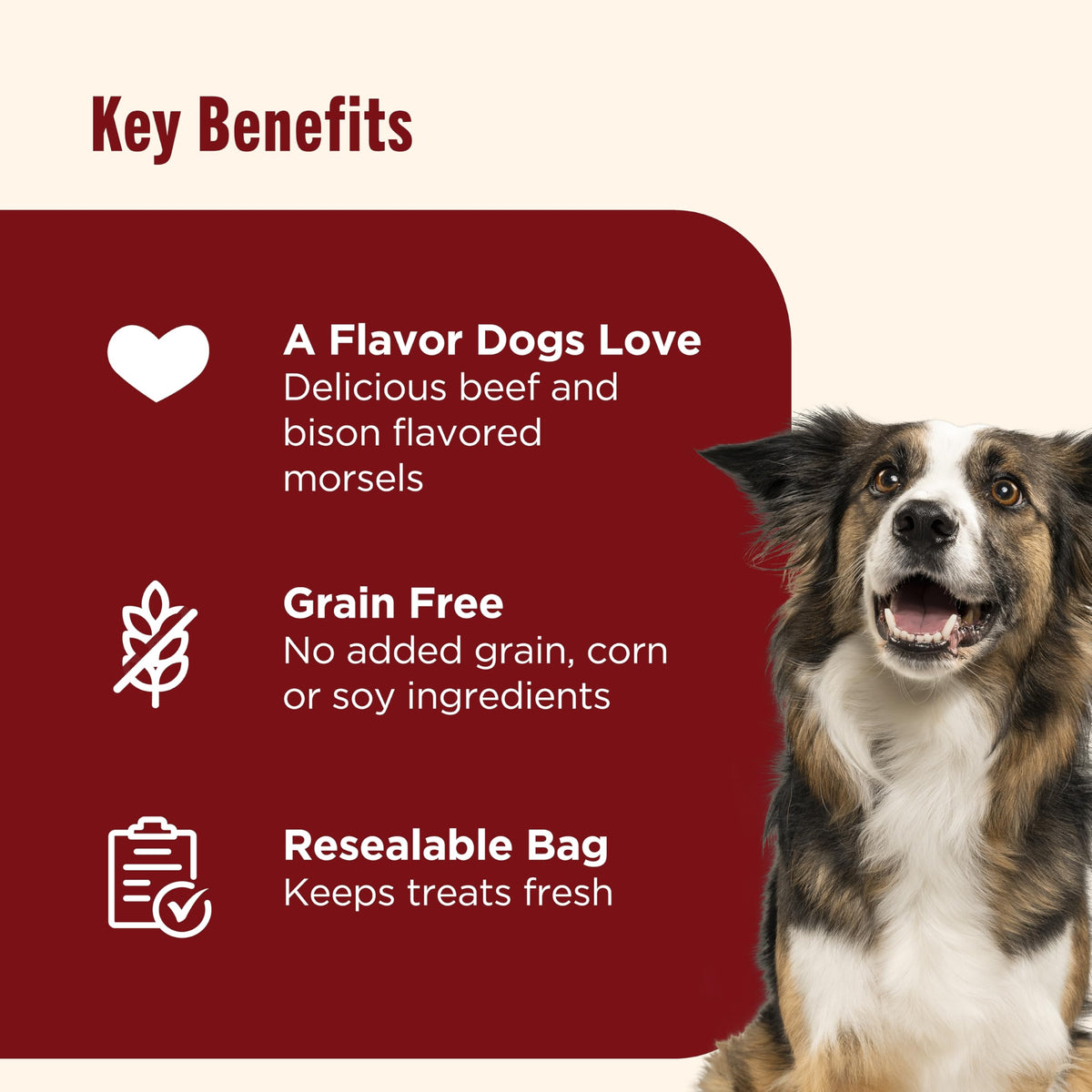 Beef Recipe Dog Treats 12 oz G83205