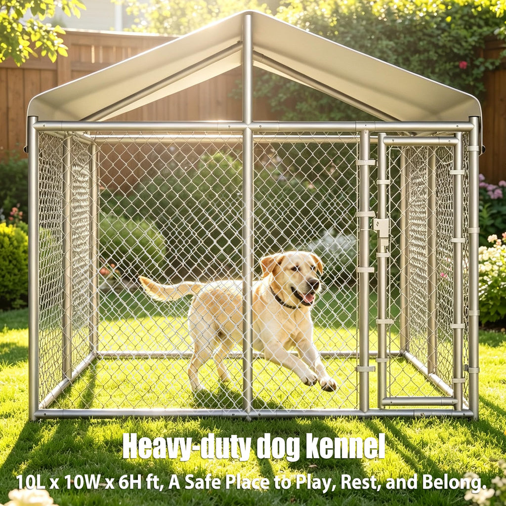 10 x 10 x 6.56 ft Galvanized Chain Link Dog Kennel with Roof N119283